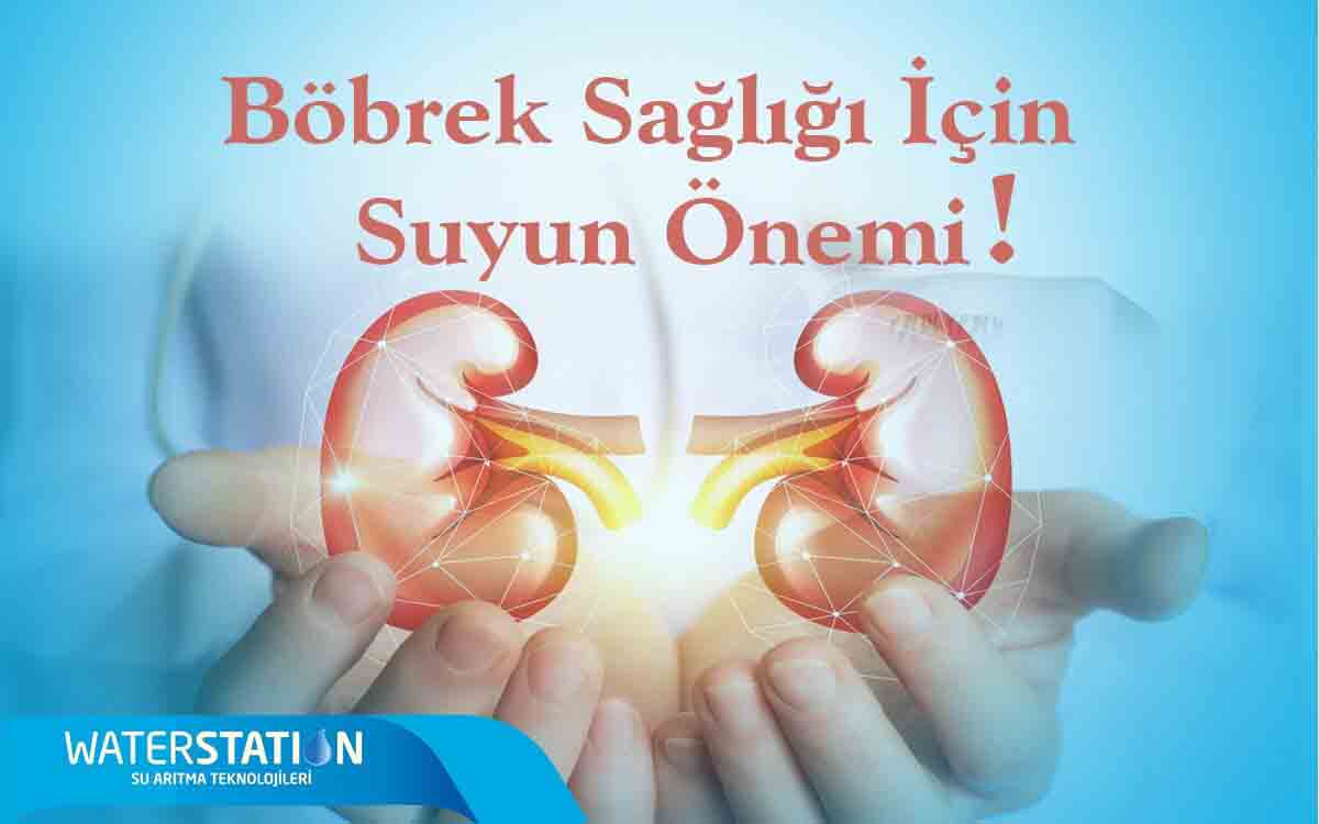 Böbrek sağlığı için suyun önemi.